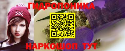 ECSTASY Боровичи
